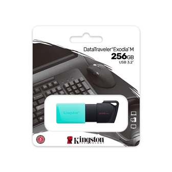 USB Flash 256Gb Kingston DTXM/256GB, USB 3.2, Бирюзовый